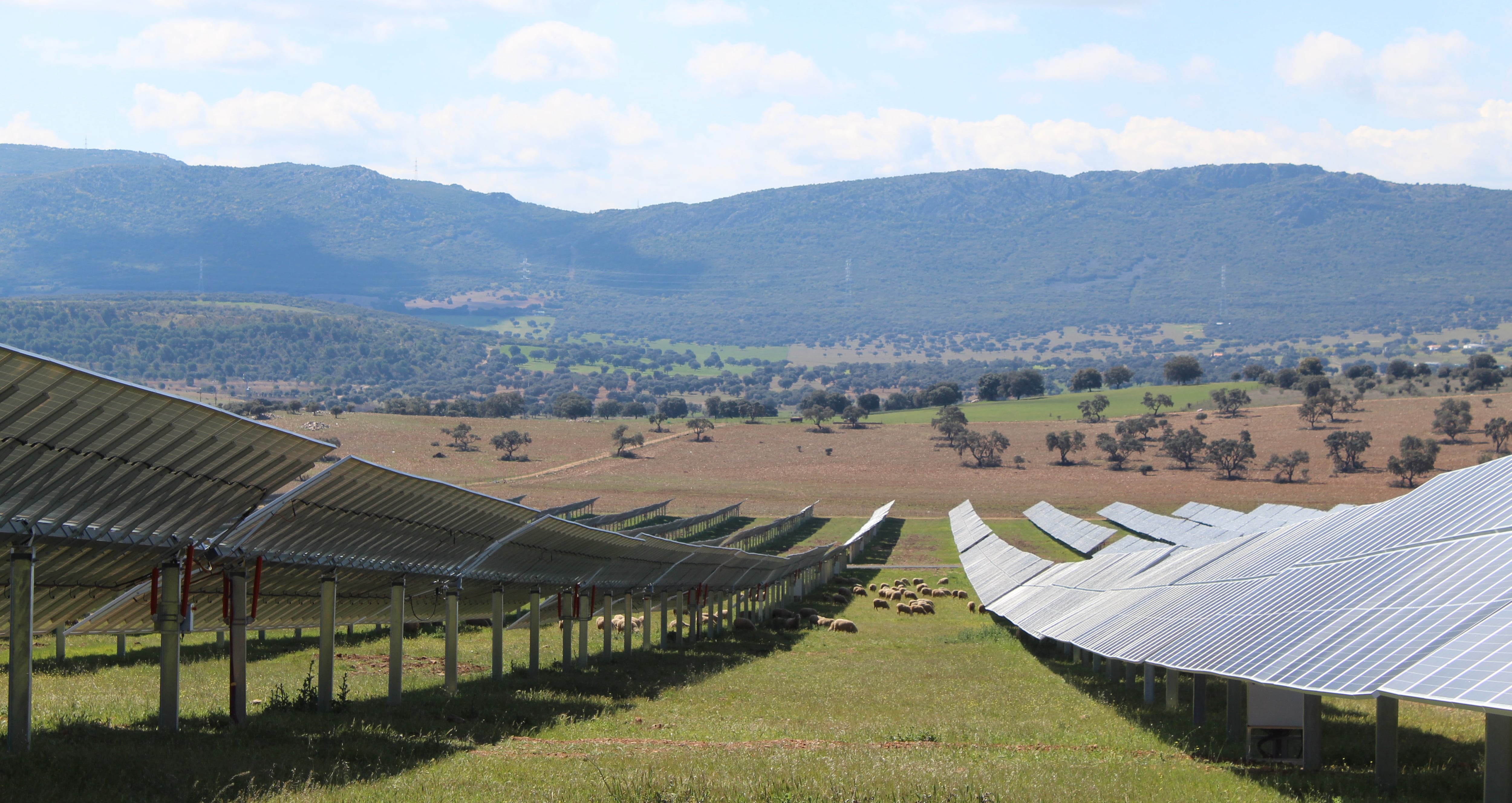 Planta fotovoltaica de Naturgy