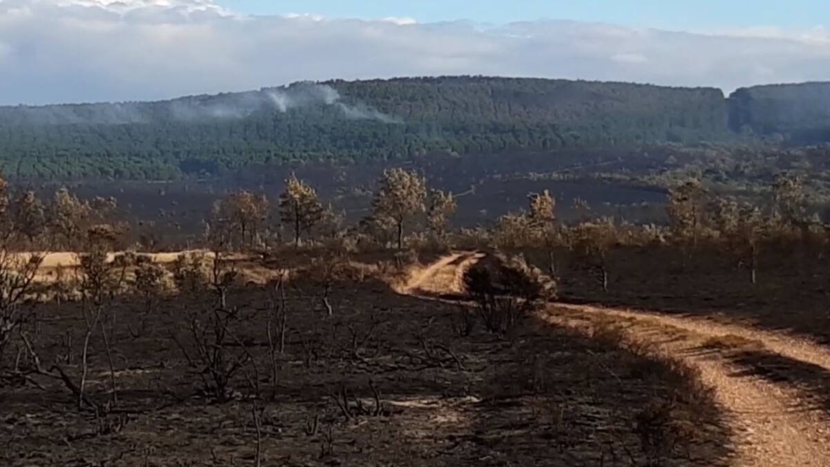 Las consecuencias económicas del incendio