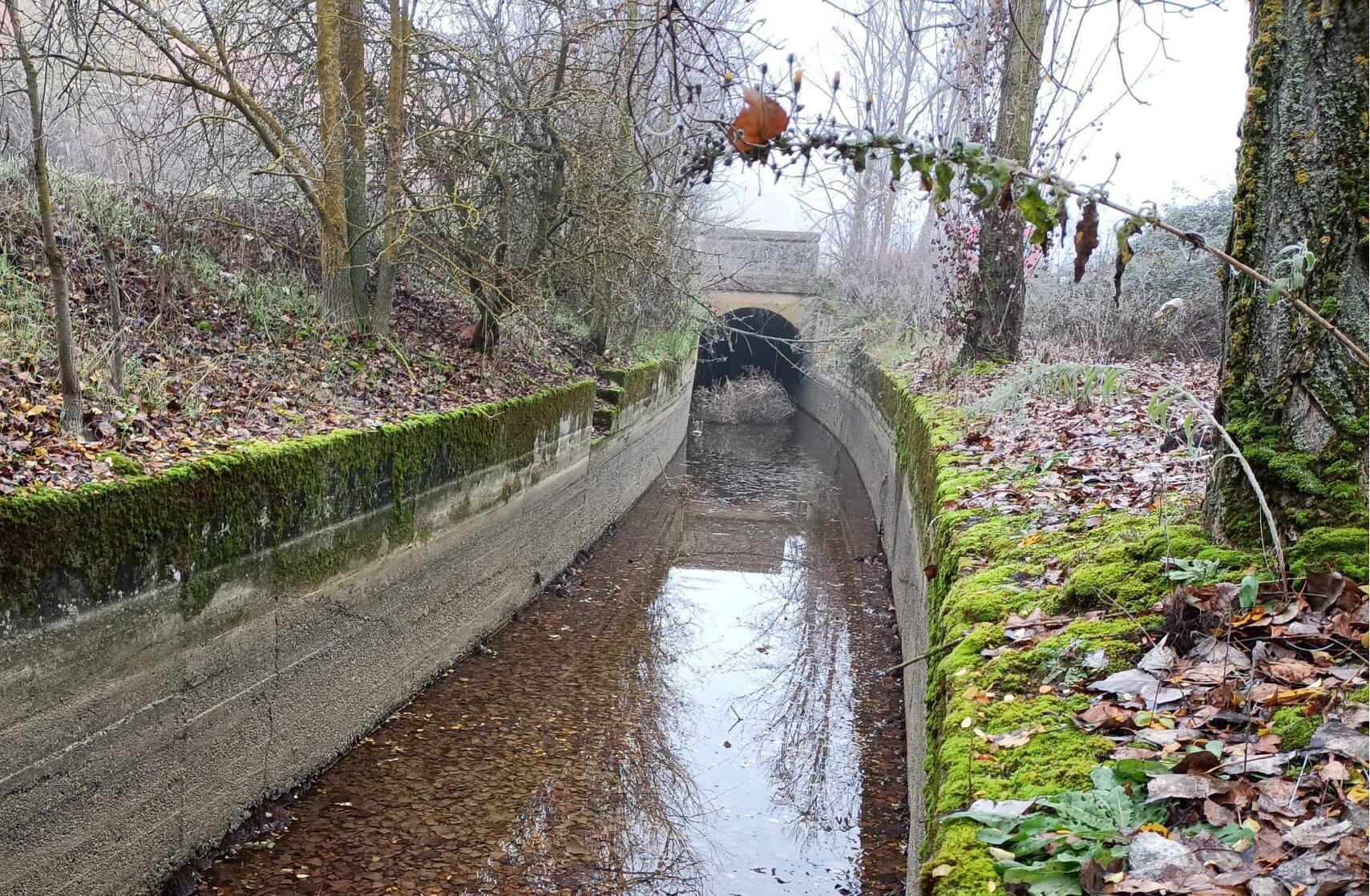 Inicio Canal Norte La Nava