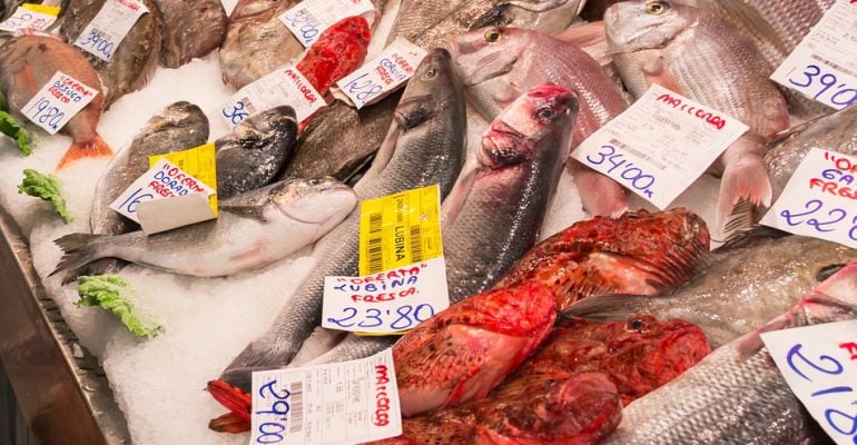 De norte a sur, llega una buena temporada para disfrutar del mejor pescado