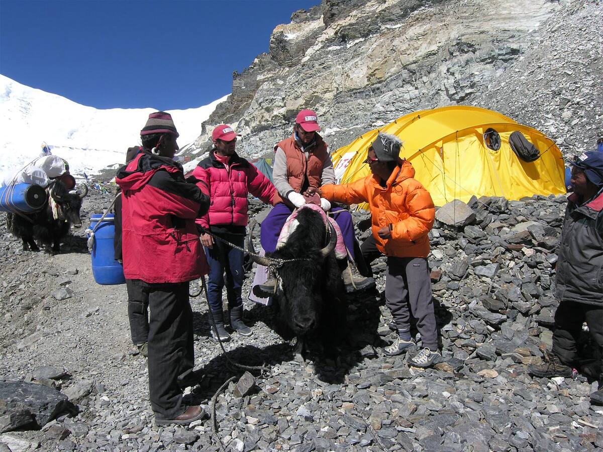 "Gana todo el mundo": la corrupción sistémica de Nepal y las estrategias para engañar a los turistas
