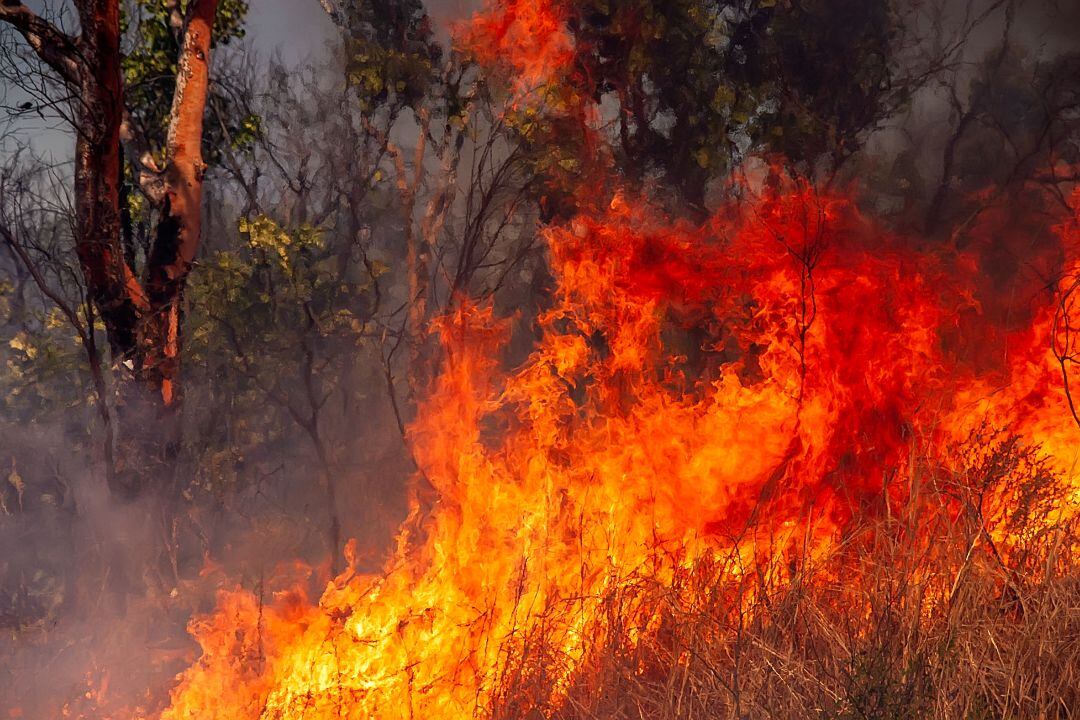 Imagen de archivo de un incendio forestal