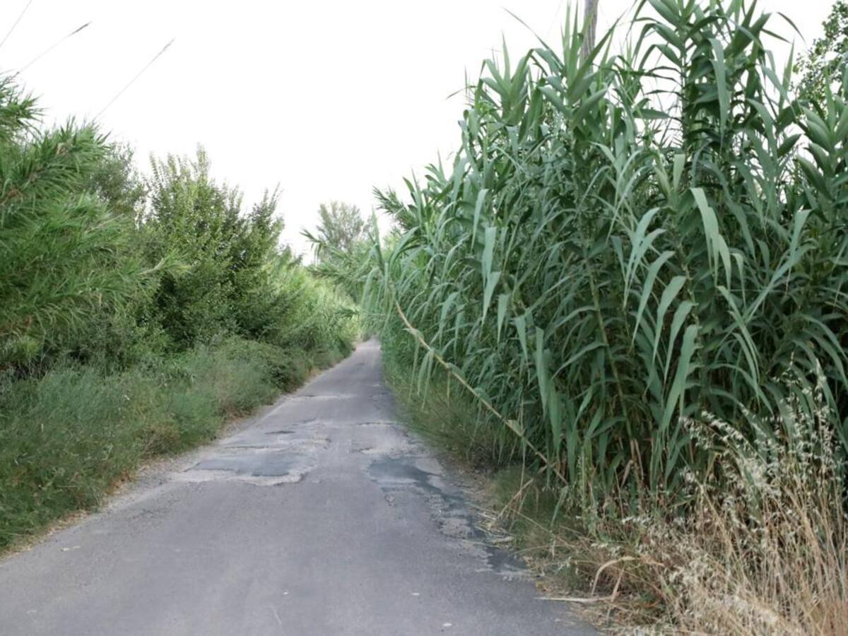 Continúan las labores de desbroce en diferentes caminos públicos talaveranos