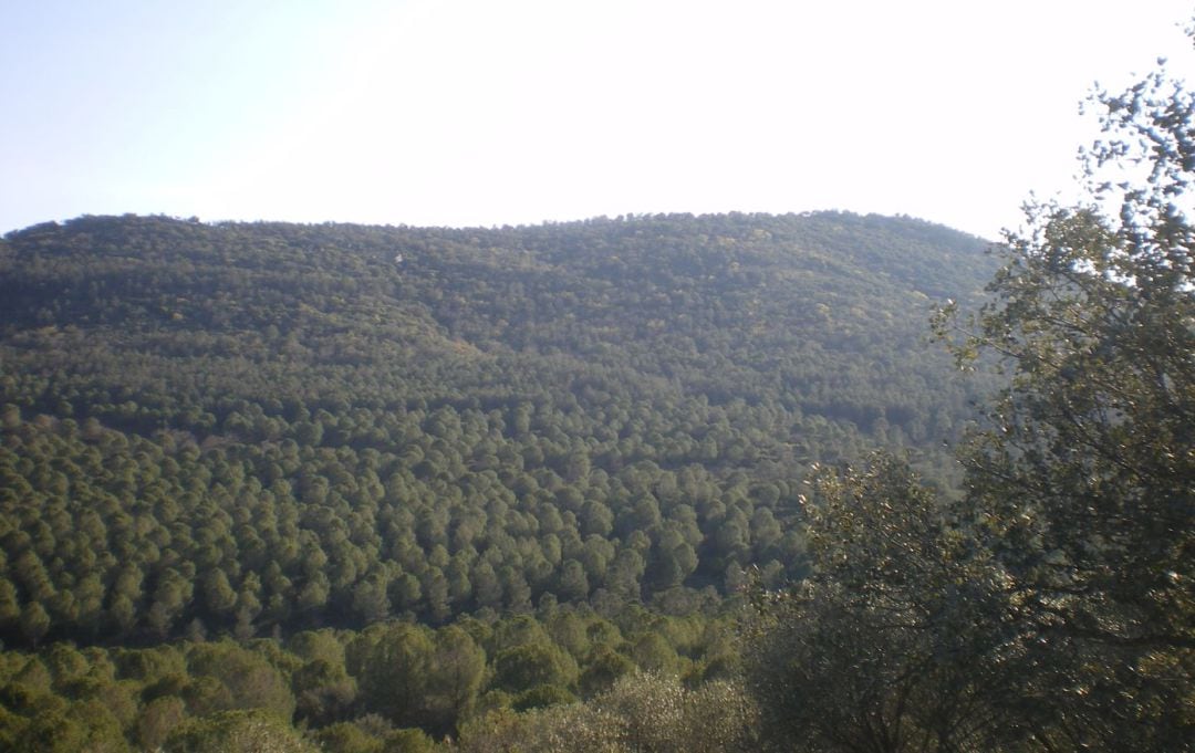 Parte del Monte Palanco incluido en el Parque Natural de Despeñaperros.