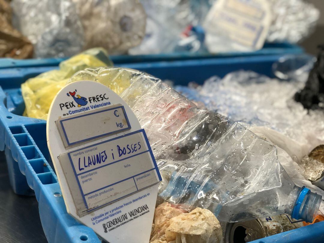 Caja de plástico en la subasta de pescado de la lonja.