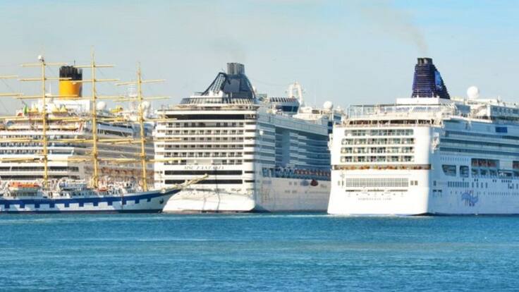 "Hay que limitar los cruceros porque se está poniendo en riesgo la salud de la población"