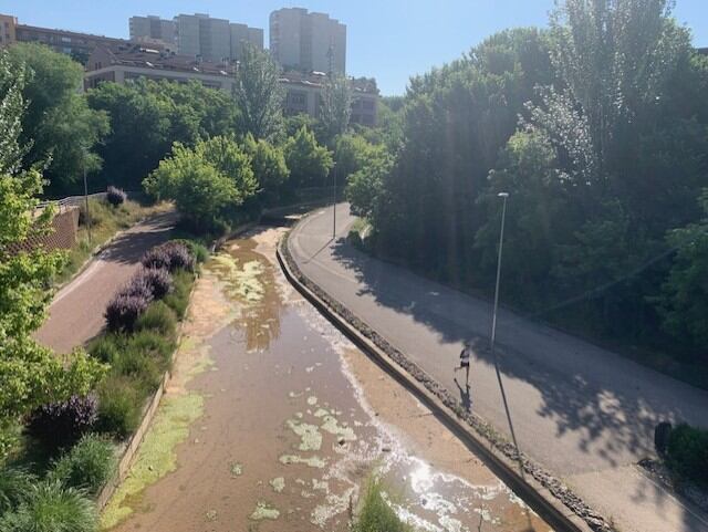 Canal Barranco del Alamín