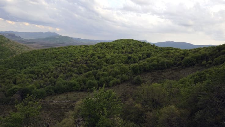 Euskadi contará este año con un catálogo de hábitats naturales en peligro de desaparición