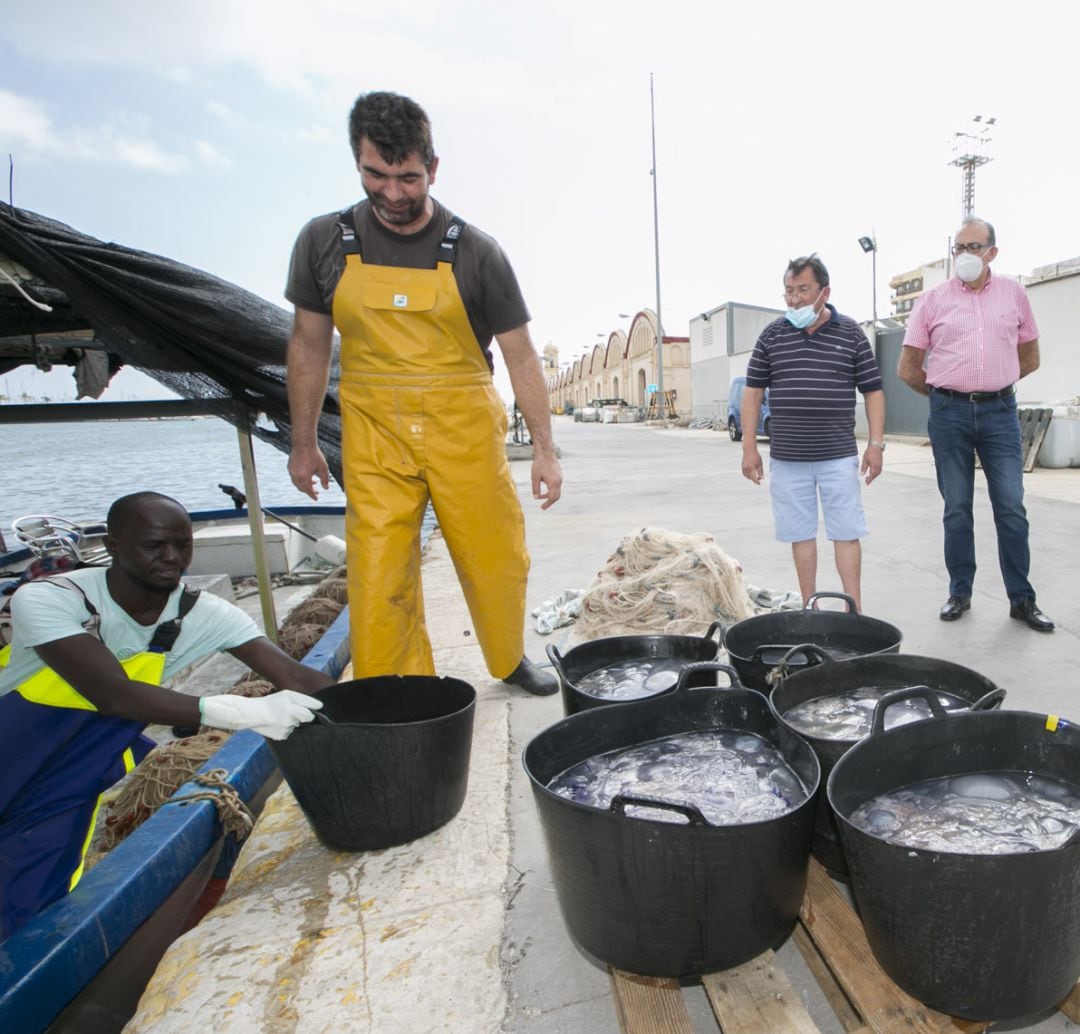 captura de medusas de los pescadores del Grau 