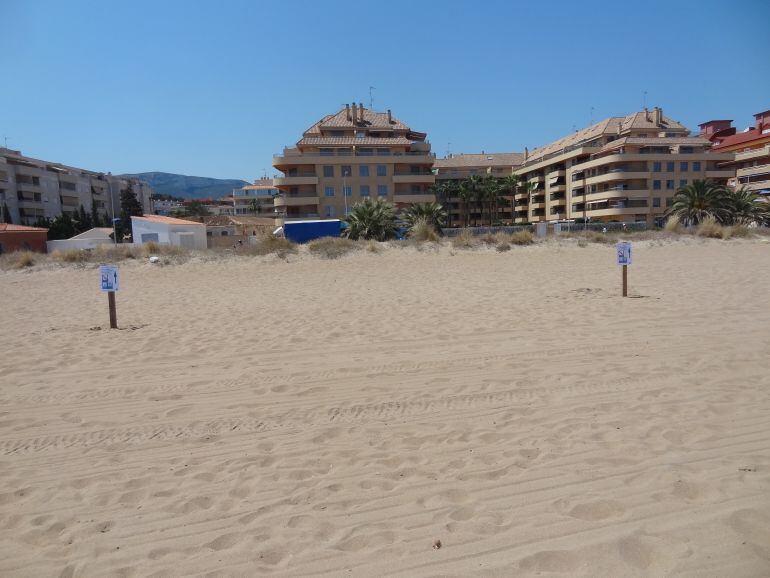 Balizas de madera colocadas para proteger las dunas de las playas de Dénia.