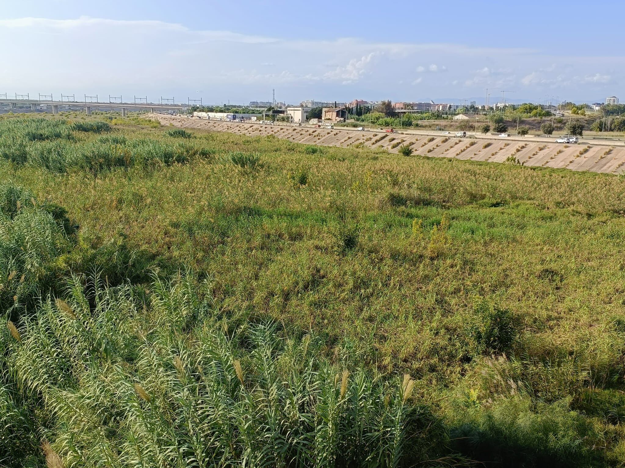 Vegetación acumulada en el tramo final del nuevo cauce del Turia