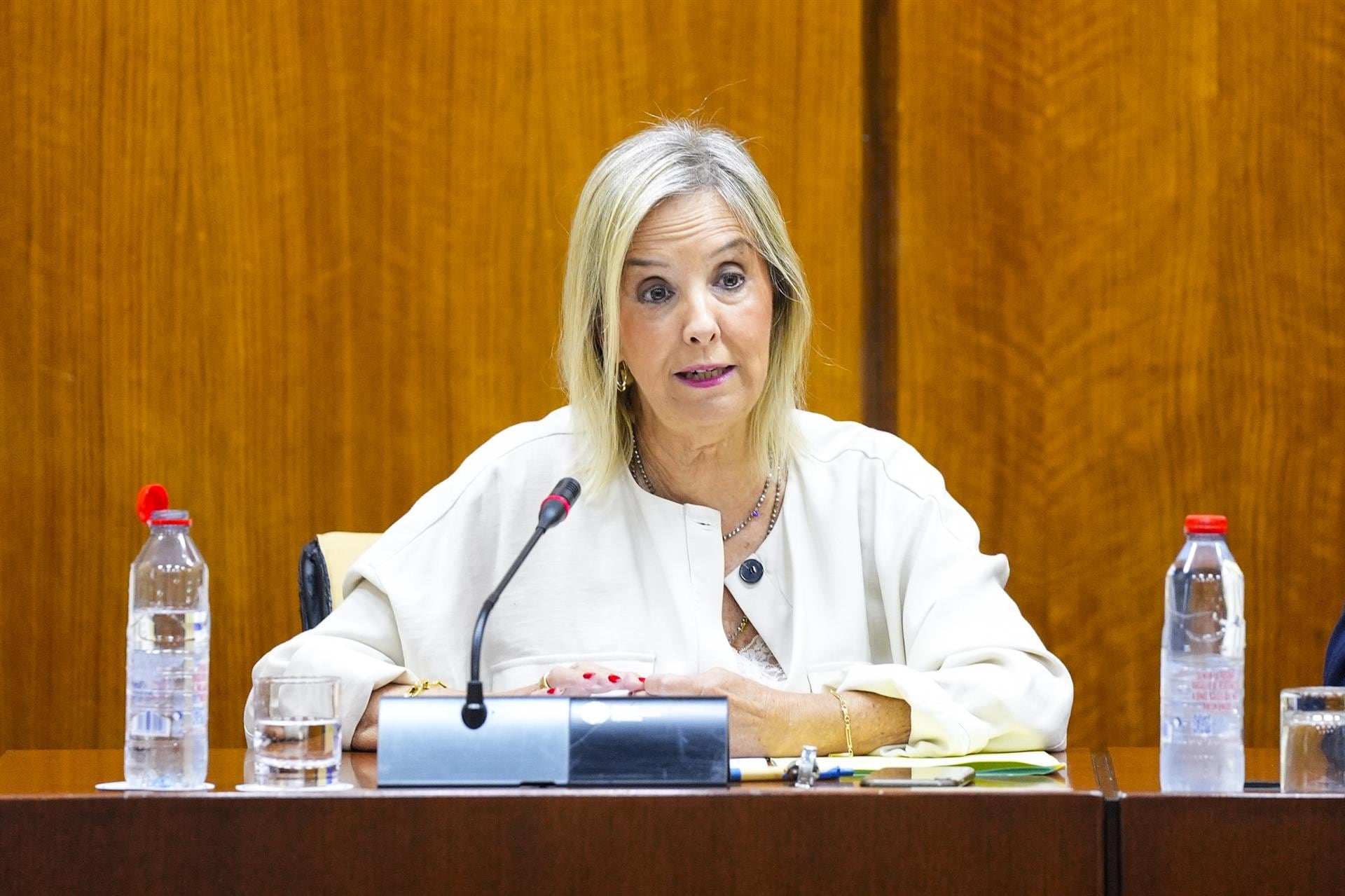 La fiscal superior de Andalucía, Ana Tárrago, presentando la Memoría de 2024 de la Fiscalía en la comisión de Justicia del Parlamento andaluz. (Foto de archivo).-