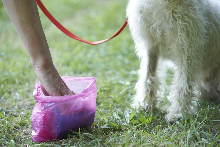 Recogida de excrementos caninos