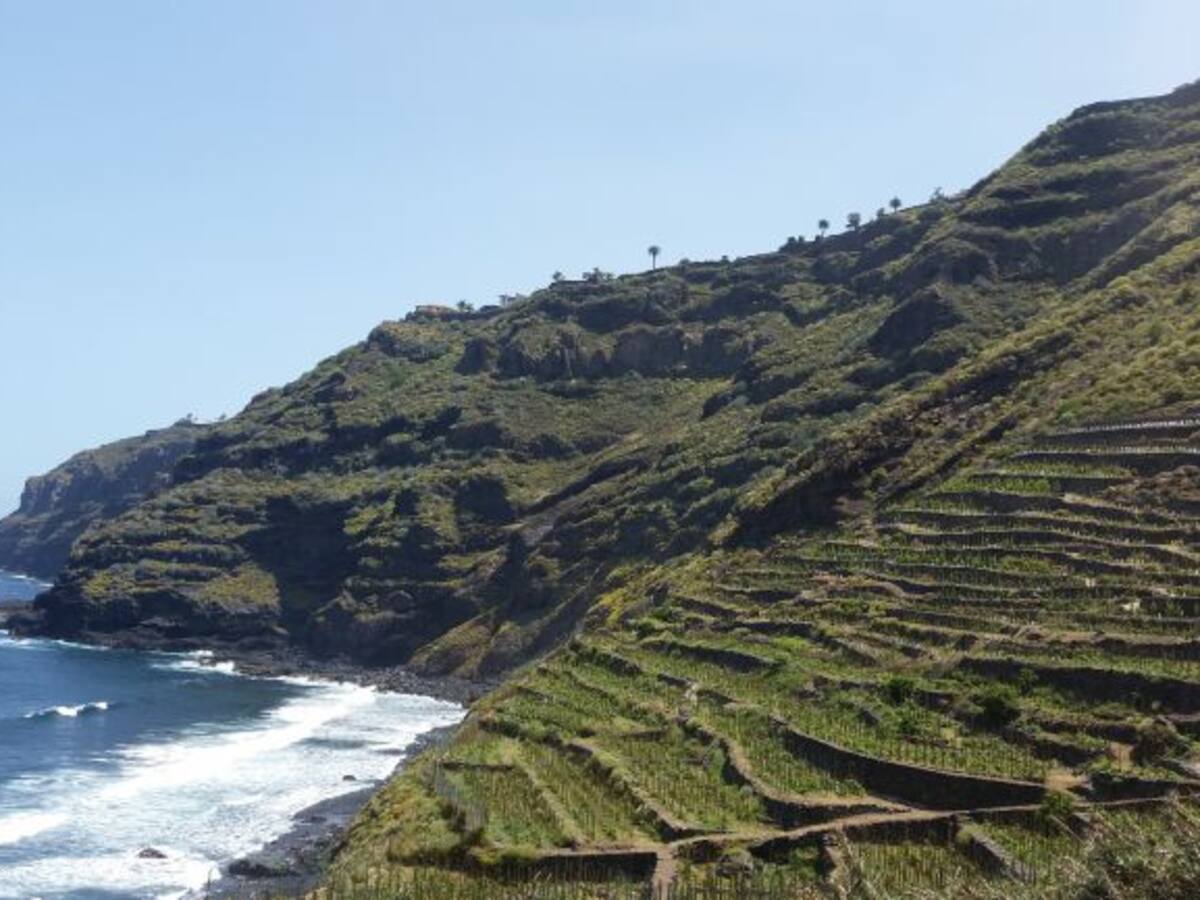 El Parque Rural de Anaga ya es Reserva de la Biosfera por la Unesco