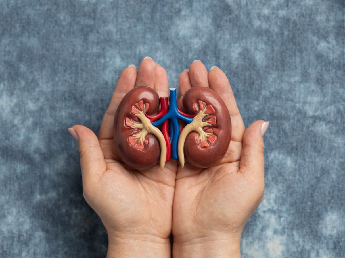 Unos 2.500 malagueños están en diálisis o necesitan un trasplante de riñón