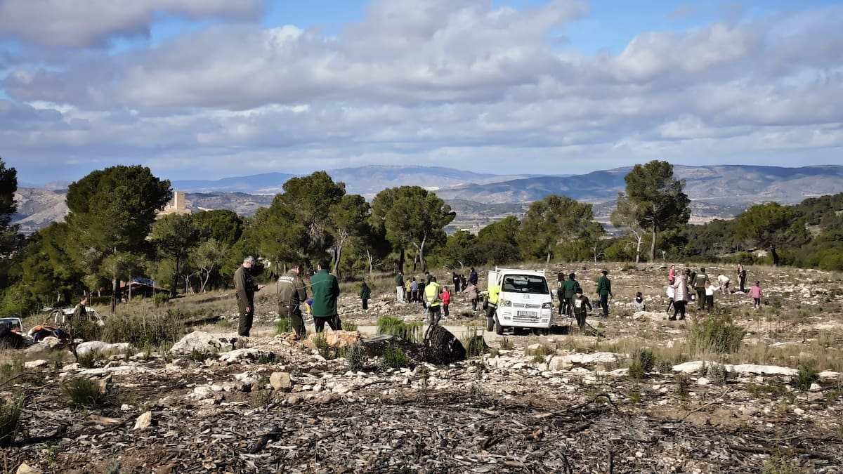 260 escolares de Biar participan en la plantación del día de árbol