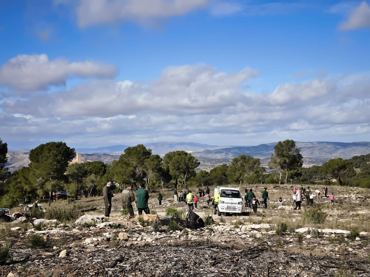 260 escolares de Biar participan en la plantación del día de árbol