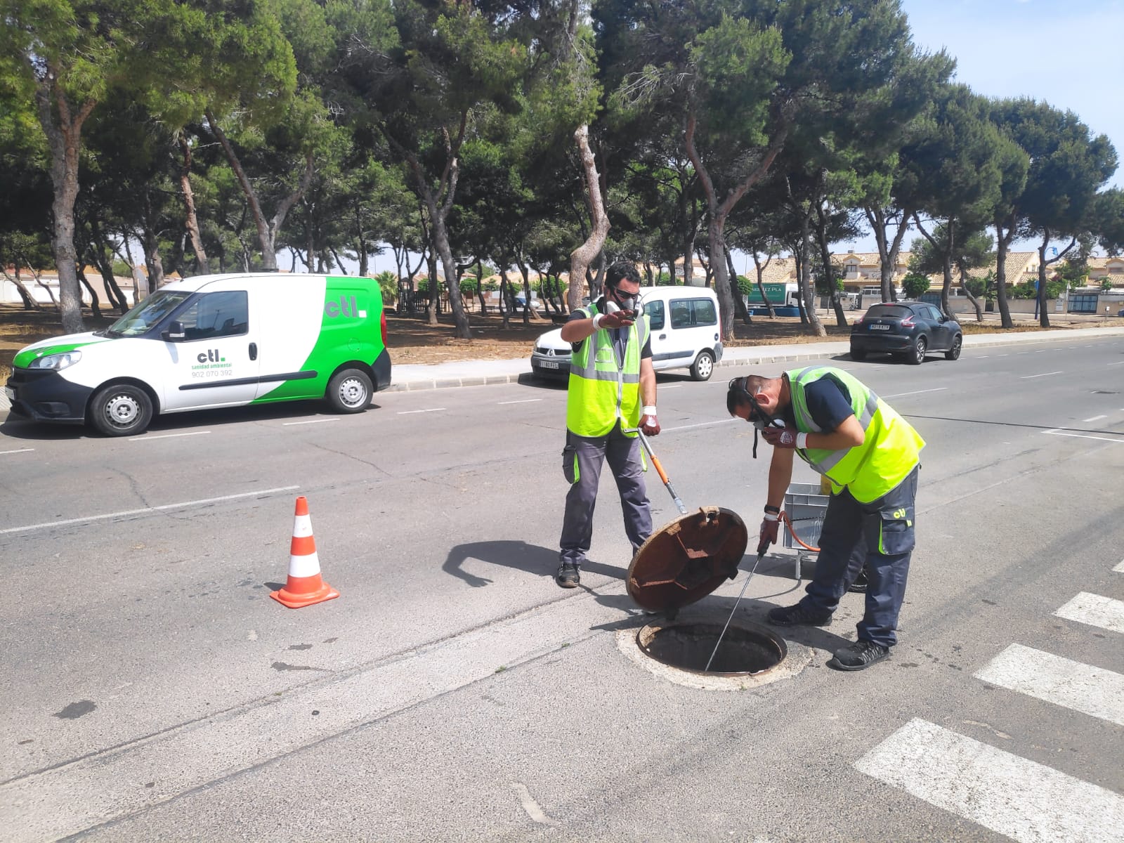 Desinsectación en San Javier