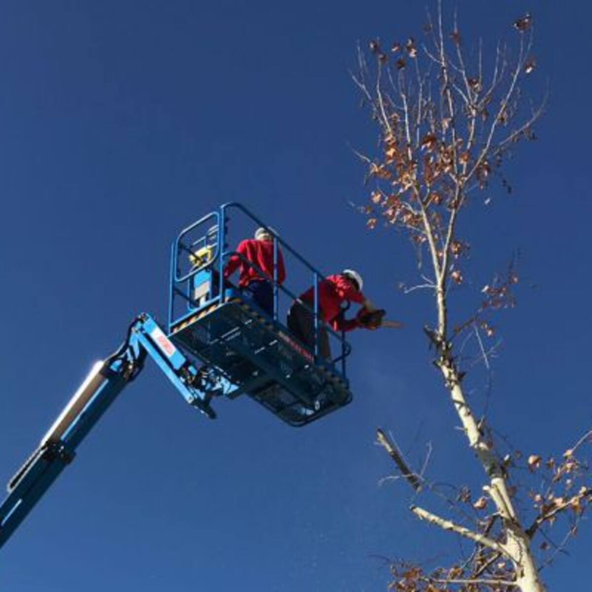Fuente el Saz mejora parques y jardines