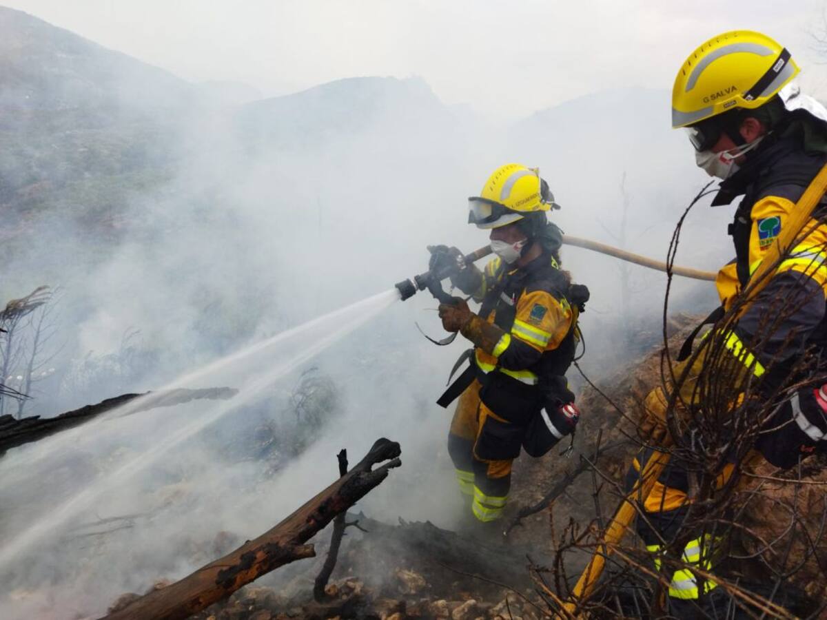 Los incendios forestales calcinan 81 hectáreas en lo que va de año en Balears
