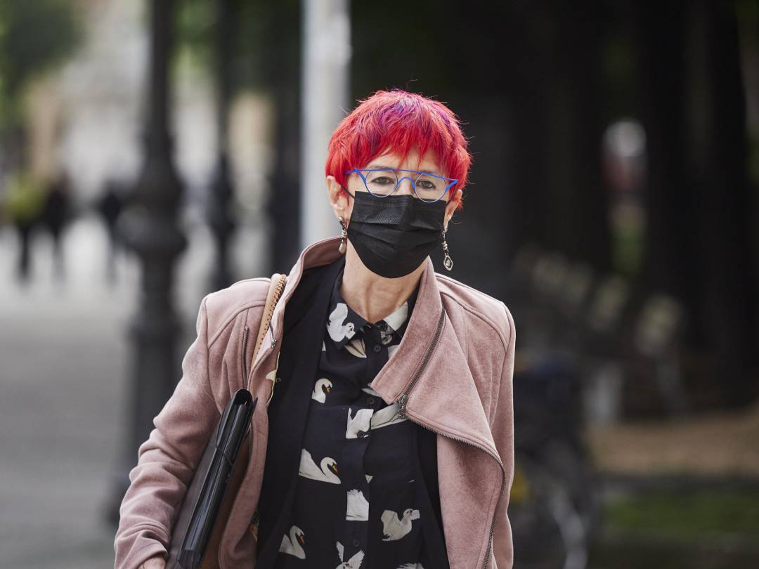 La consejera de Salud del Gobierno de Navarra, Santos Indurain, llega al parlamento