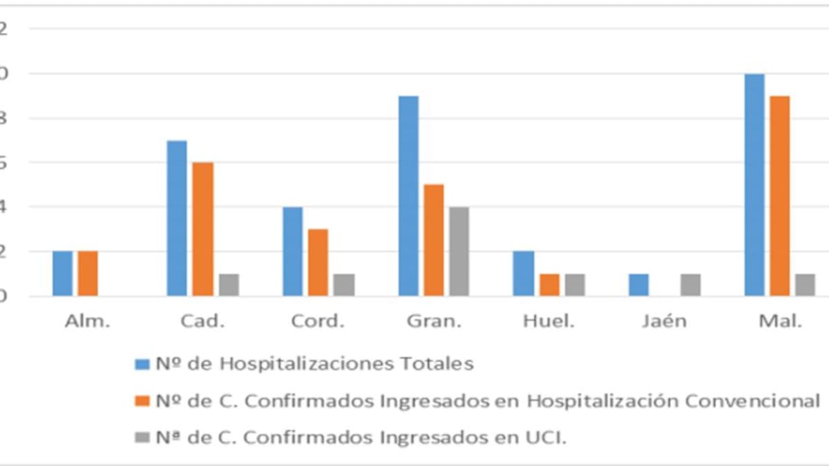 Nuevo brote de la covid-19 en Granada con 12 personas afectadas