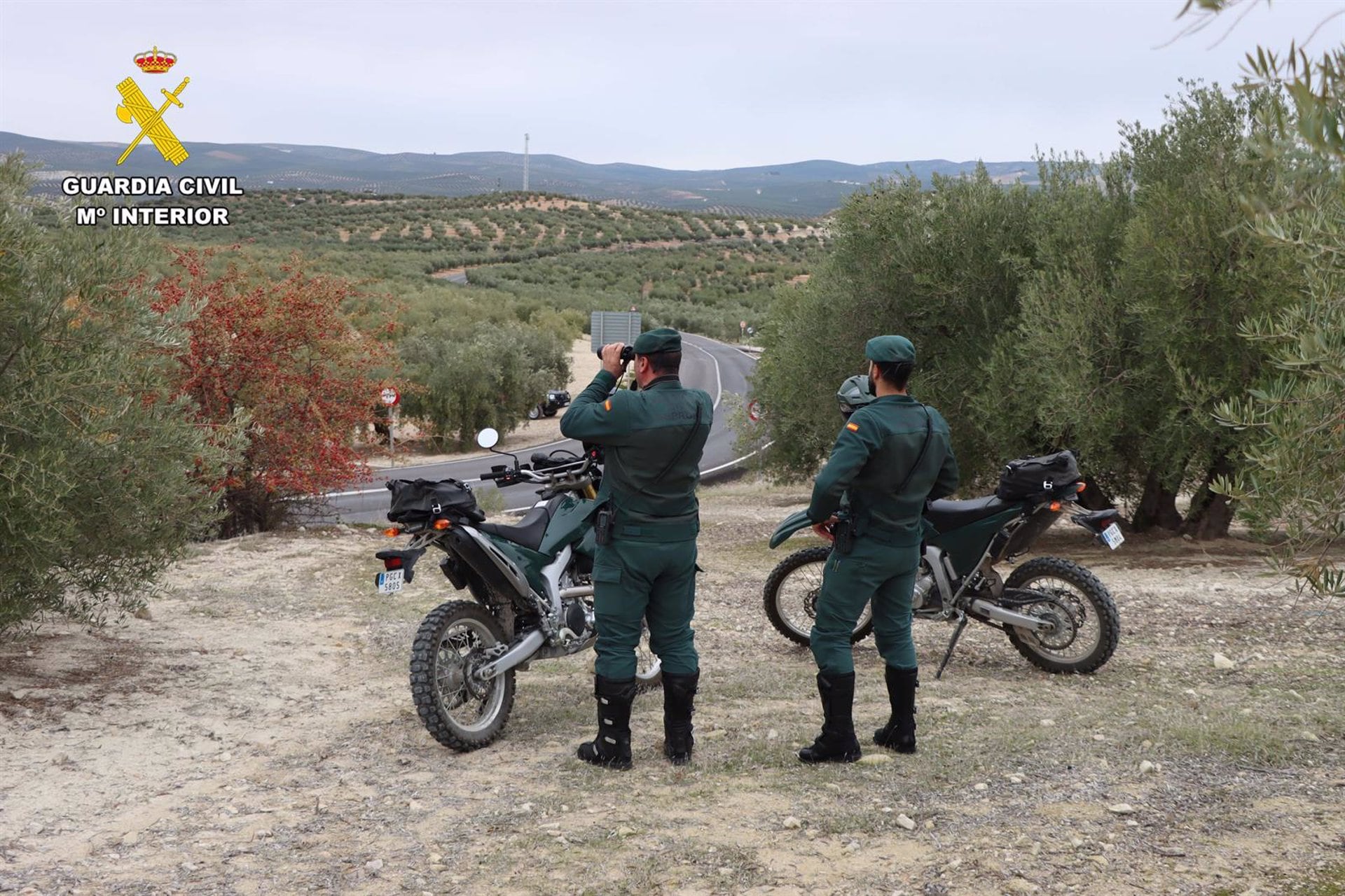 Agentes del SEPRONA de Córdoba, en un dispositivo de vigilancia