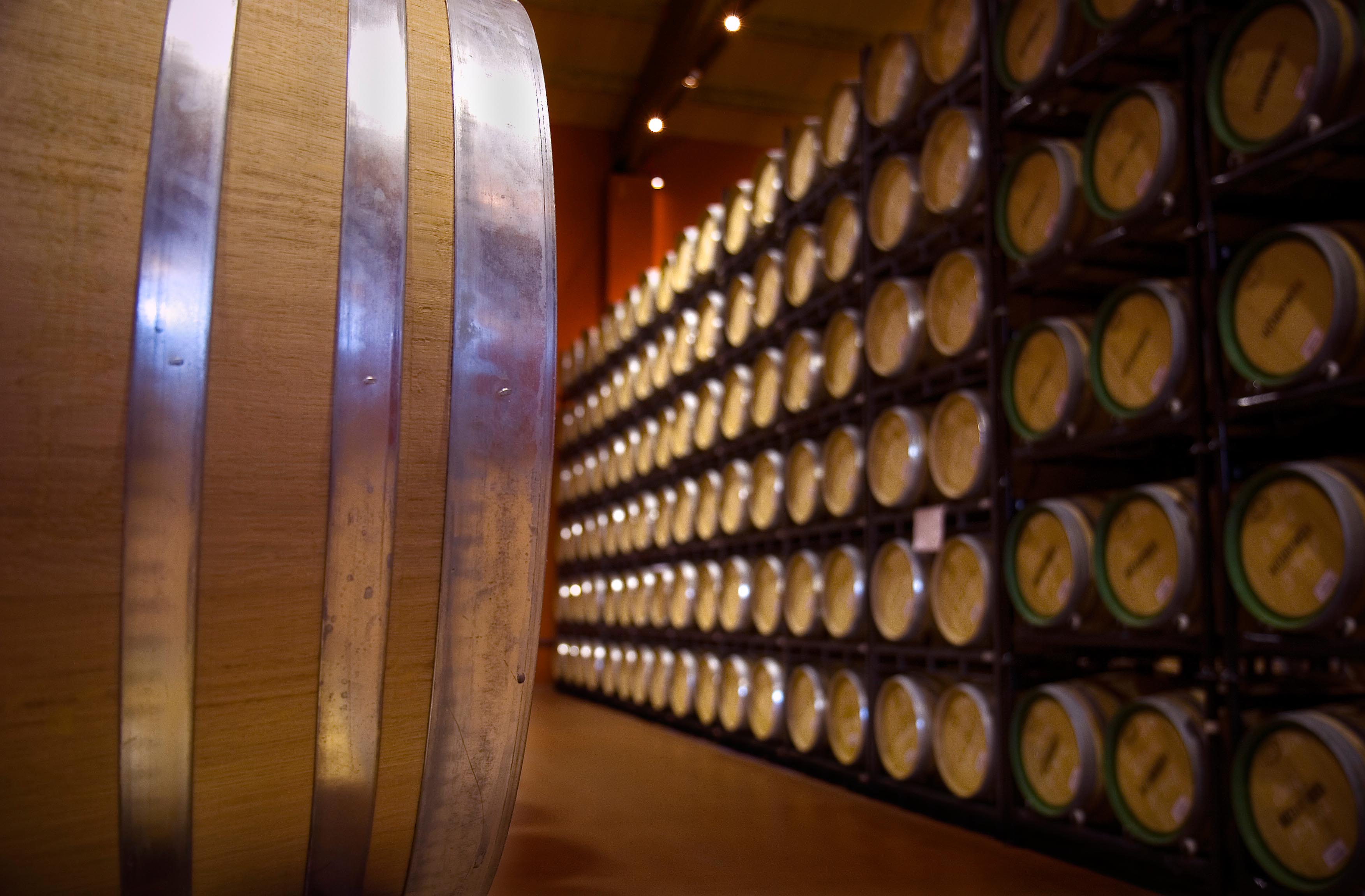 IGP Ribera del Queiles, el nuevo sello de calidad que certifica INTIA