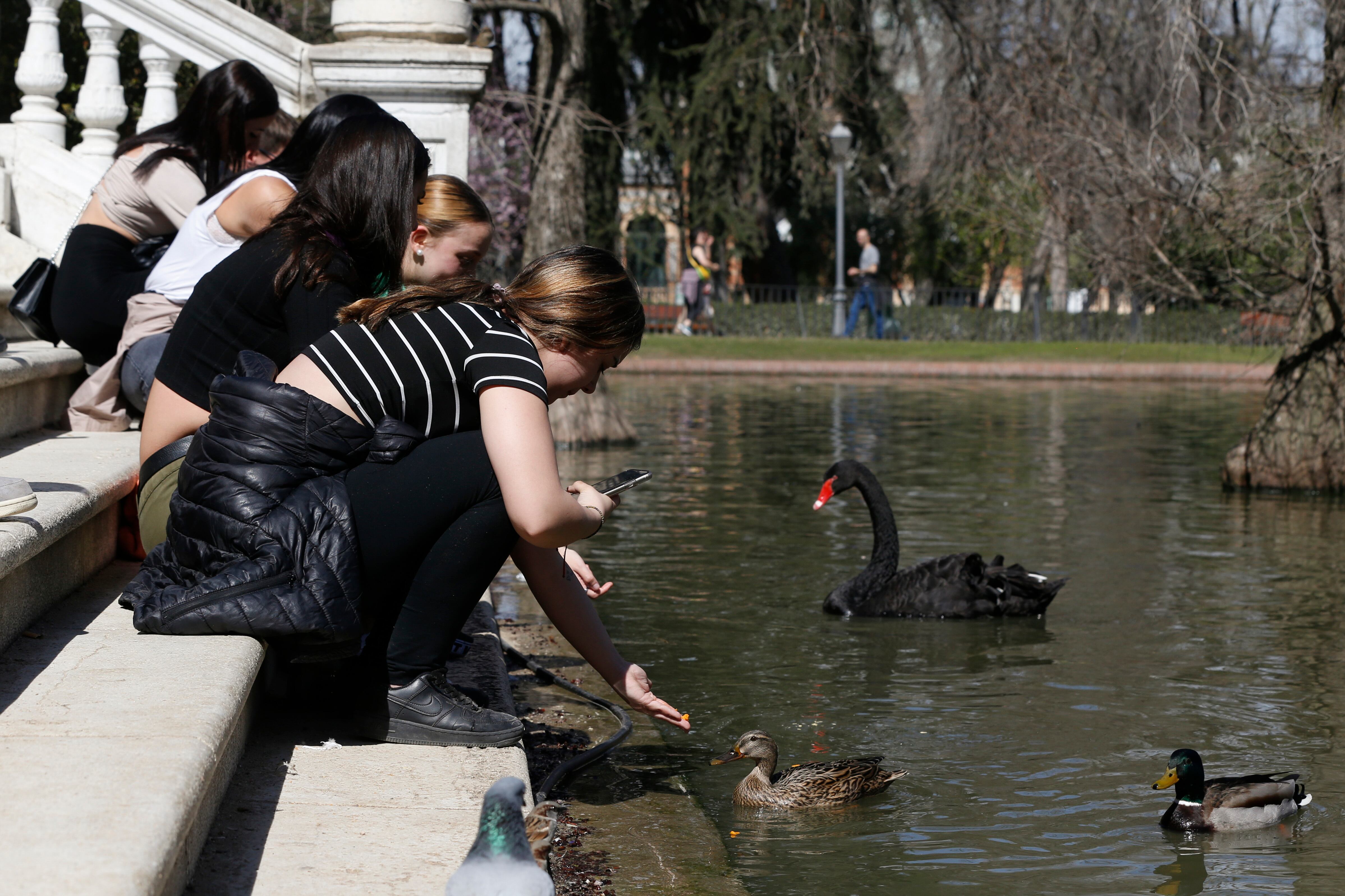 Unas chicas echan comida a los patos en el parque del Retiro de Madrid