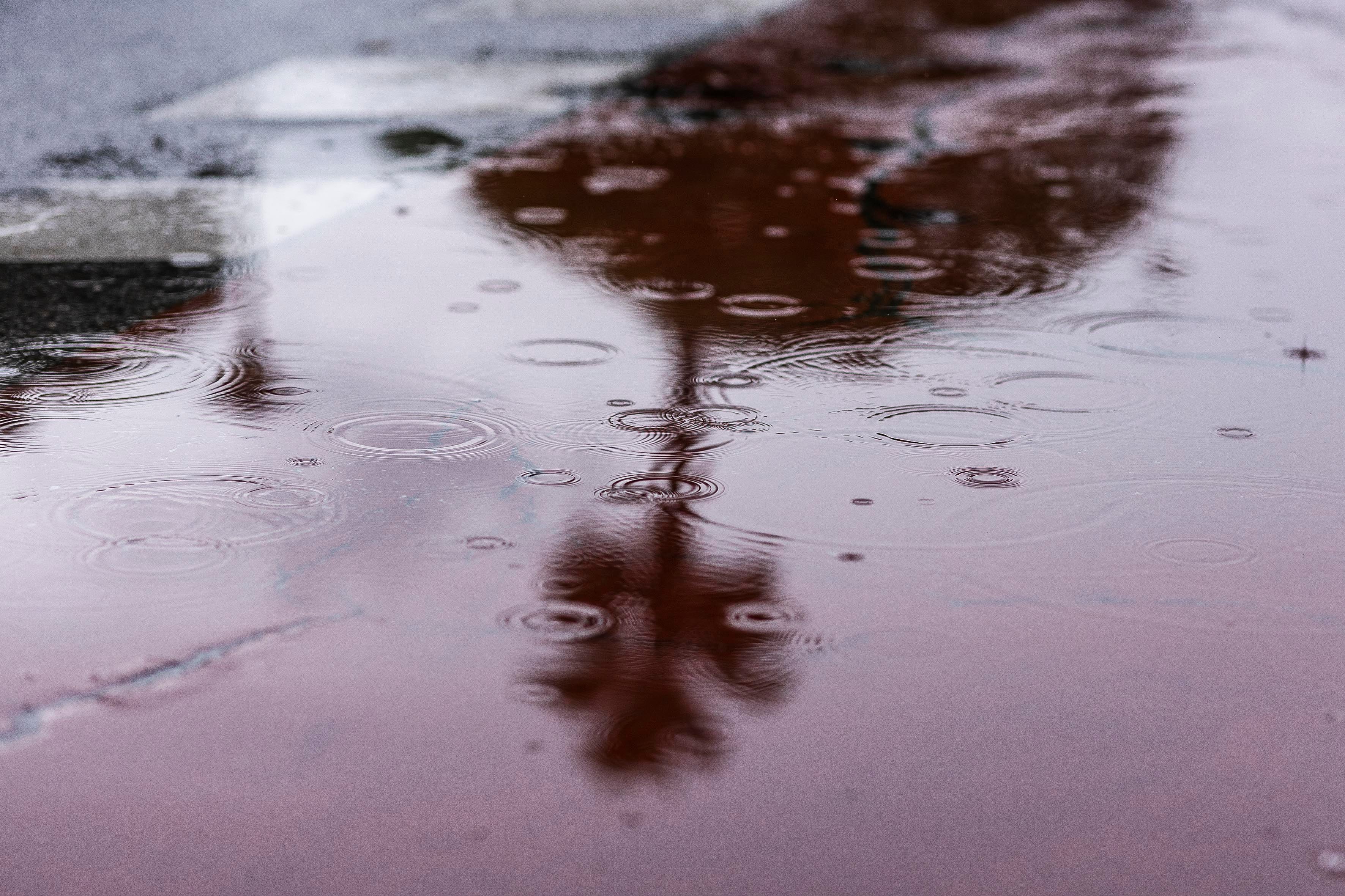 MÁLAGA (ESPAÑA), 21/05/2023.- La lluvia vuelve a caer este domingo de forma generosa en la provincia de Málaga, donde en las últimas horas se han acumulado caso 40 litros por metro cuadrado en poblaciones como Ojen. La Agencia Estatal de Meteorología mantiene activo durante todo el día los avisos amarillos por lluvias y tormentas en las provincias de Málaga, Huelva, Sevilla y Cádiz. EFE/Carlos Díaz
