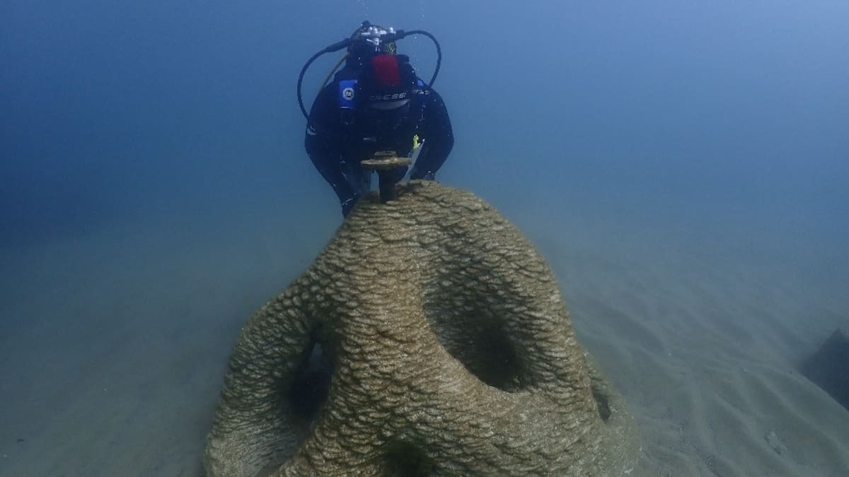 Reportaje EP195 | Los microplásticos, uno más en nuestro día a día