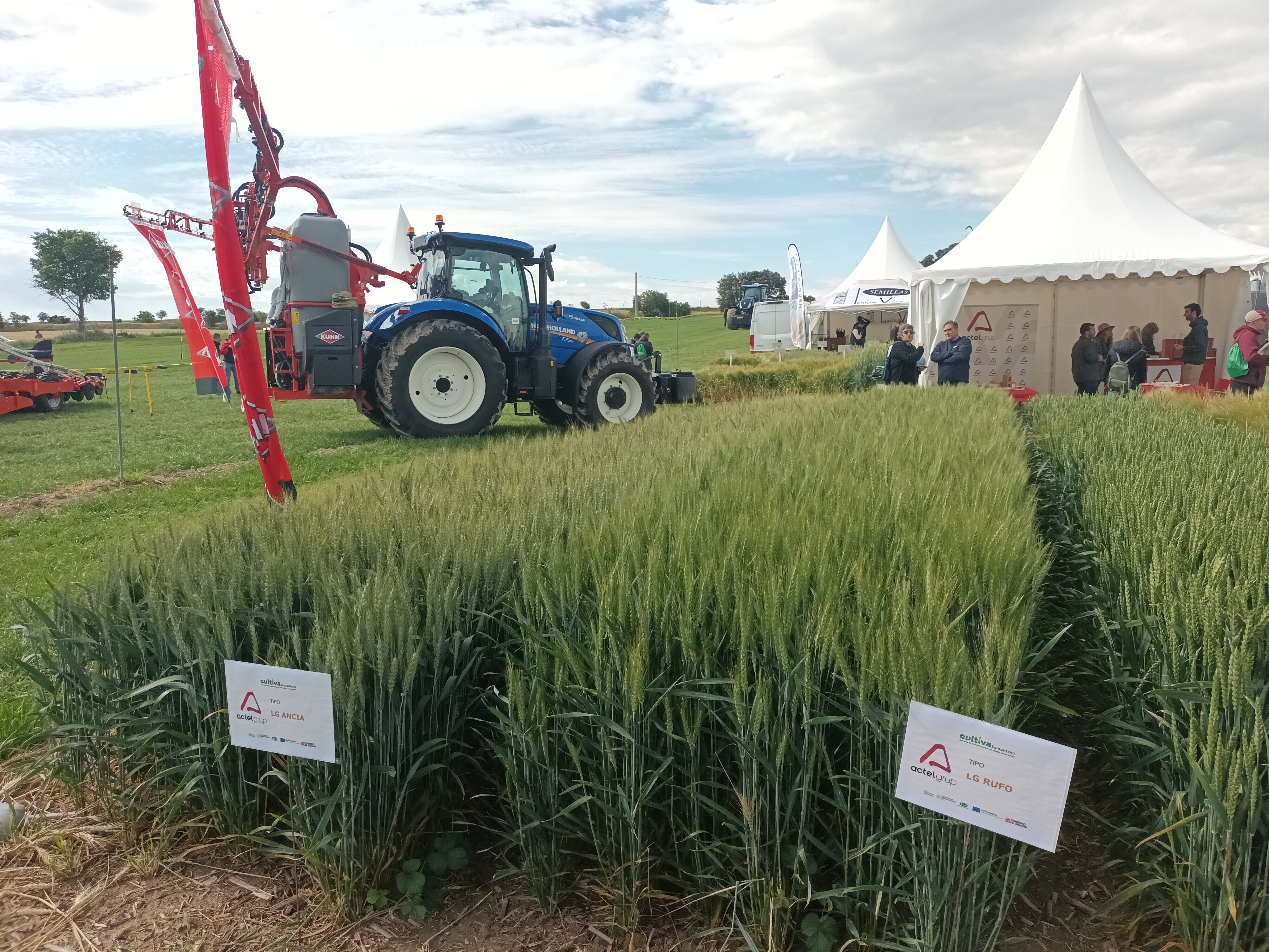 Ensayos que se han presentado en la Jornada Cultiva