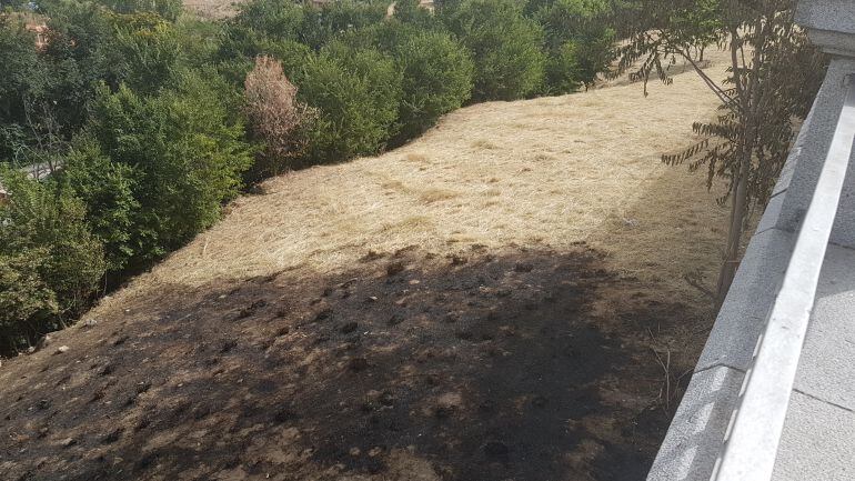 Ciudadanos reclama al Ayuntamiento más atención a los parques y jardines para evitar sucesos como el del incendio del talud de padre Claret