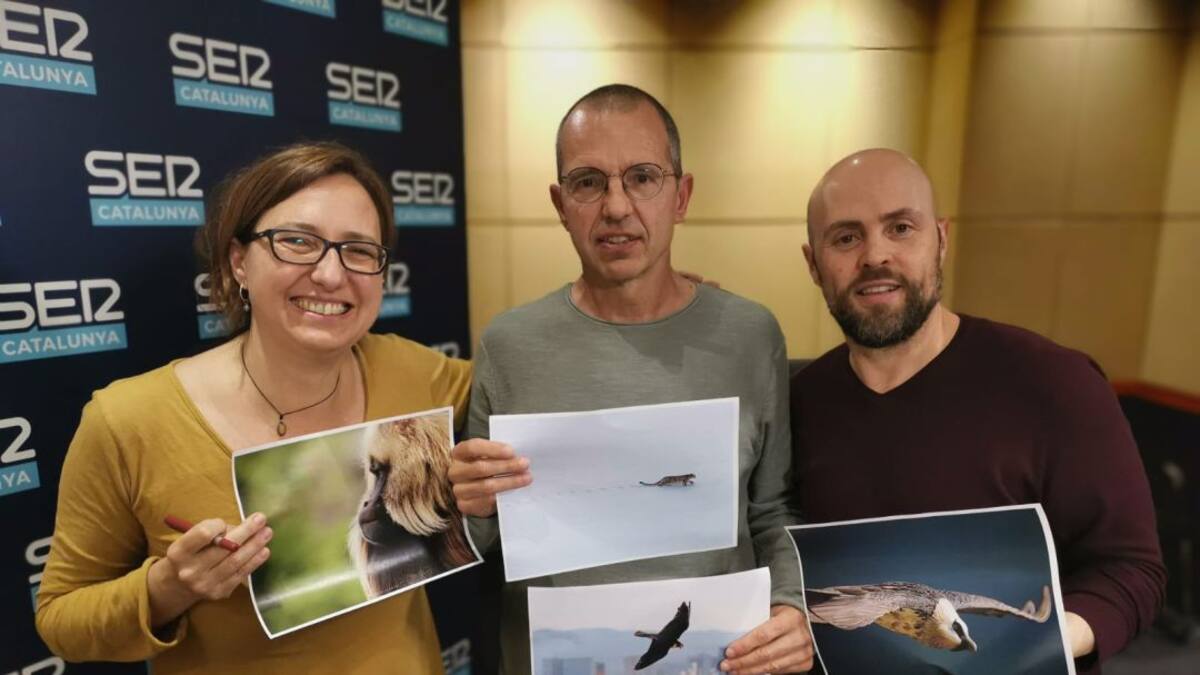 Oriol Alamany o com veure el lleopard de les neus
