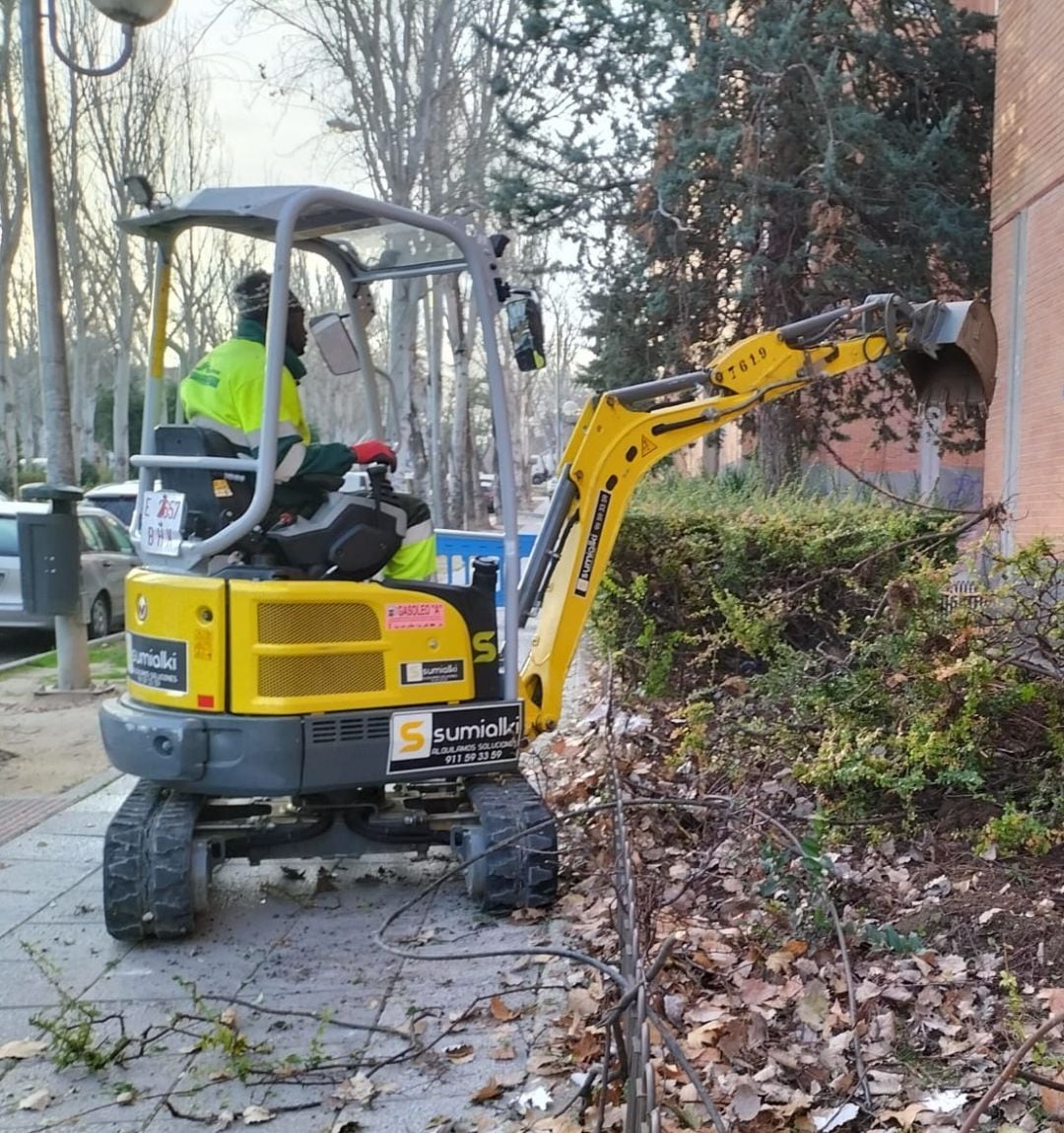 Trabajos de recuperación de zonas verdes 