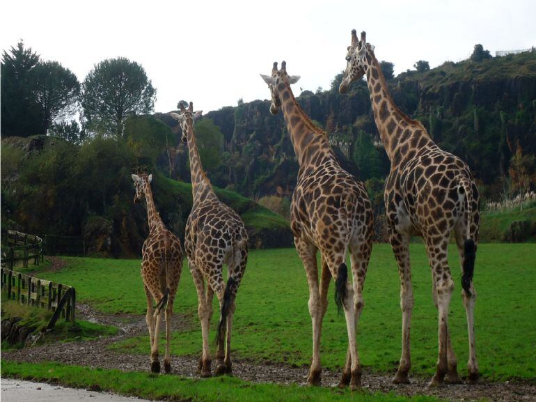 Parque de la Naturaleza de Cabárceno 