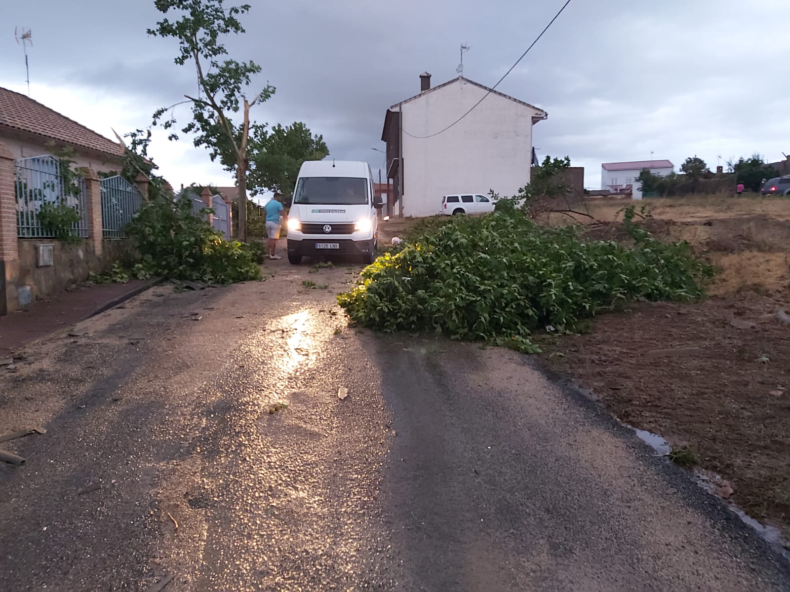 Árboles caídos en un acalle de Los Cortijos