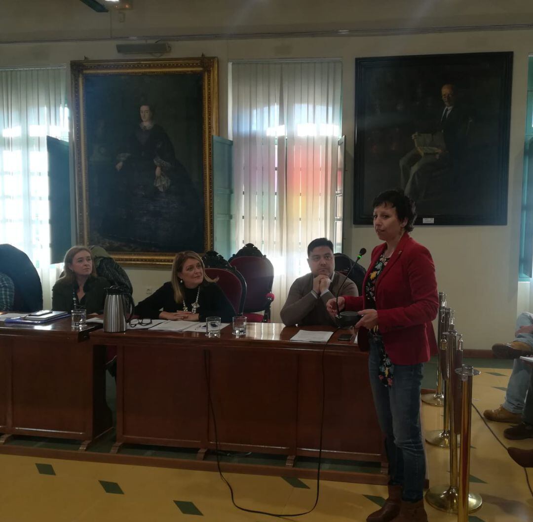 Elvira Ramírez (UGT) durante el Pleno Municipal.