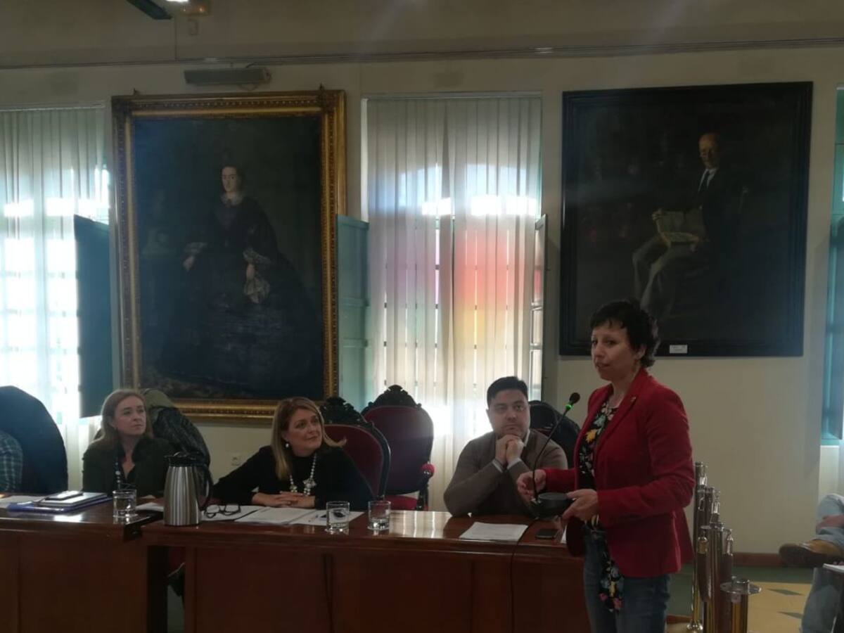 El pleno municipal da su apoyo a los trabajadores de gestión de citas del SAE