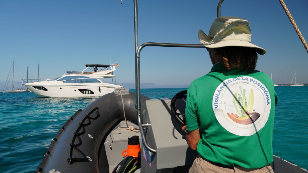 Dos de cada cinc barques que es van controlar a Menorca estaven fonsejades sobre parderies de posidònia.