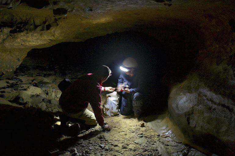 La cueva de El Sidrón, situada en Asturias, es uno de los yacimientos de homínidos más importantes de España. .