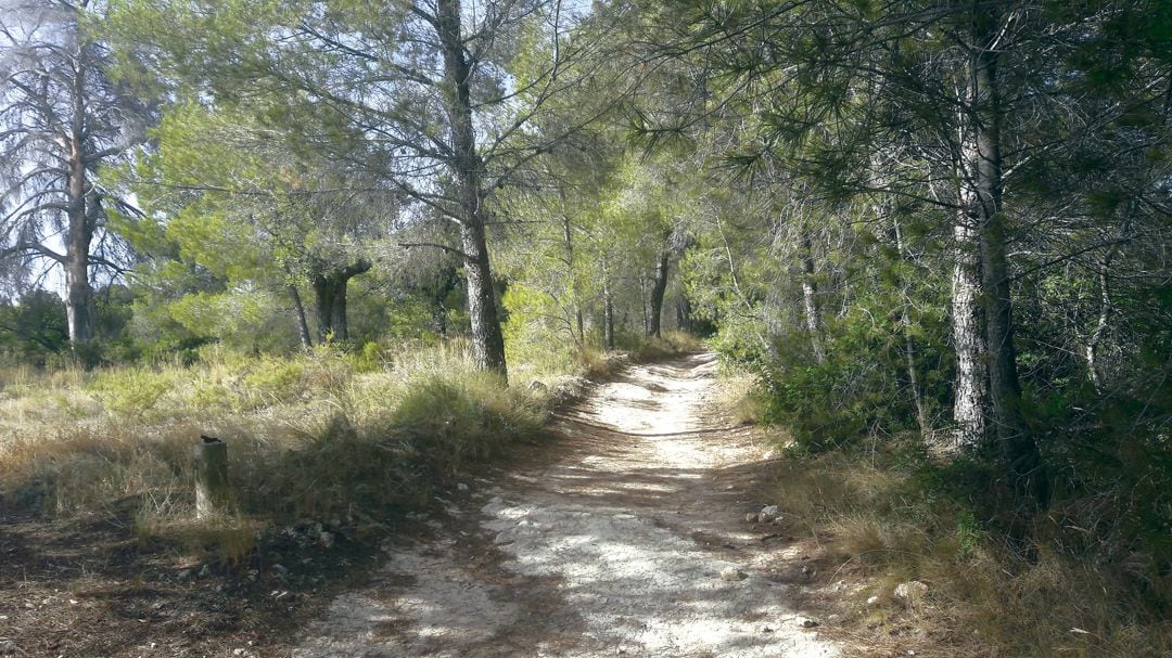 El paraje natural de Les Moles estará protegido cuando se apruebe el nuevo PORN del Túria. 