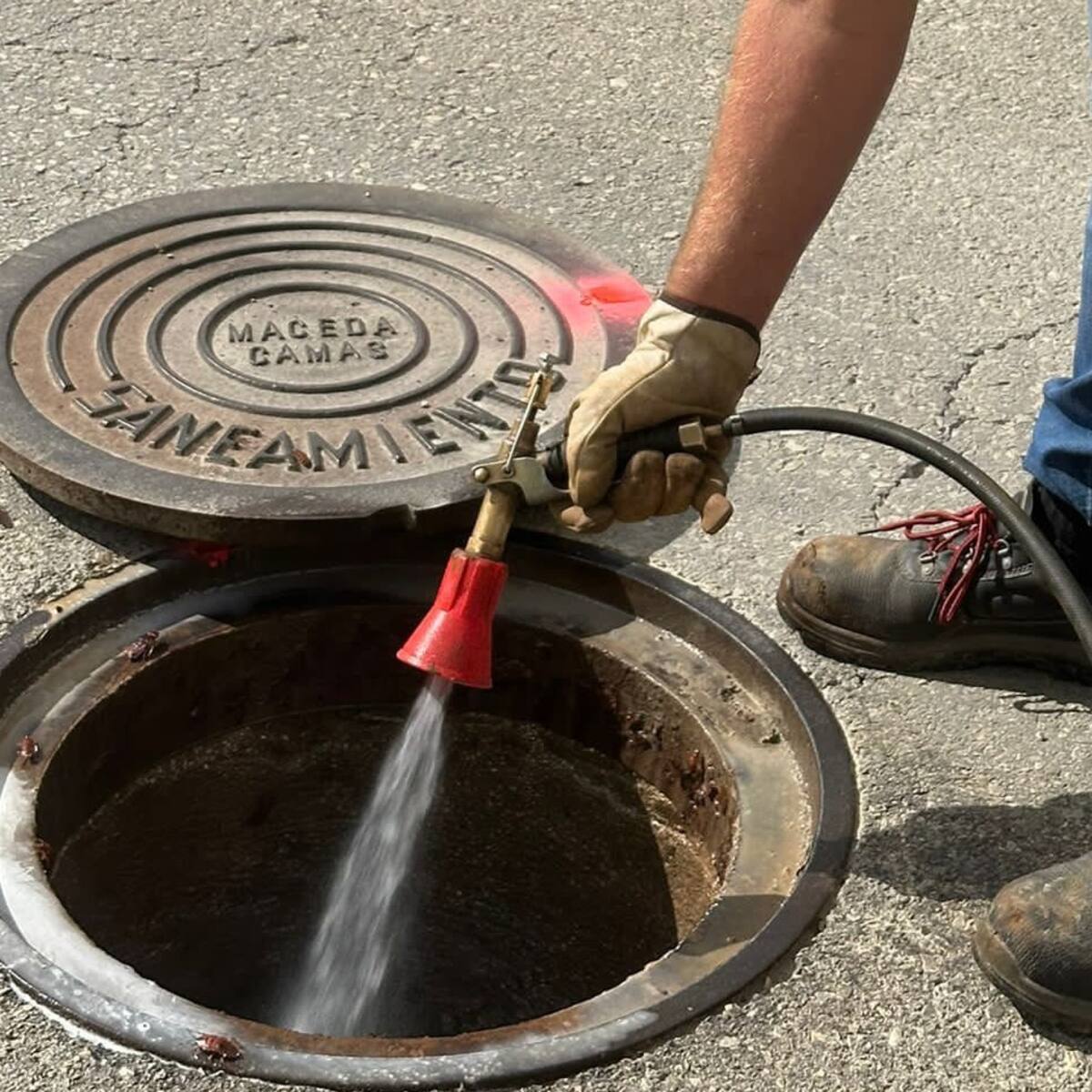 Iniciada en Morón la campaña anual de desinsectación contra cucarachas
