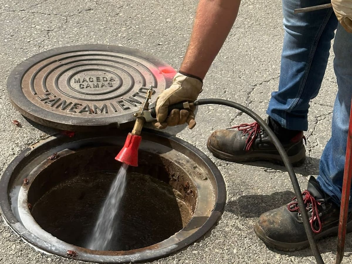 Iniciada en Morón la campaña anual de desinsectación contra cucarachas