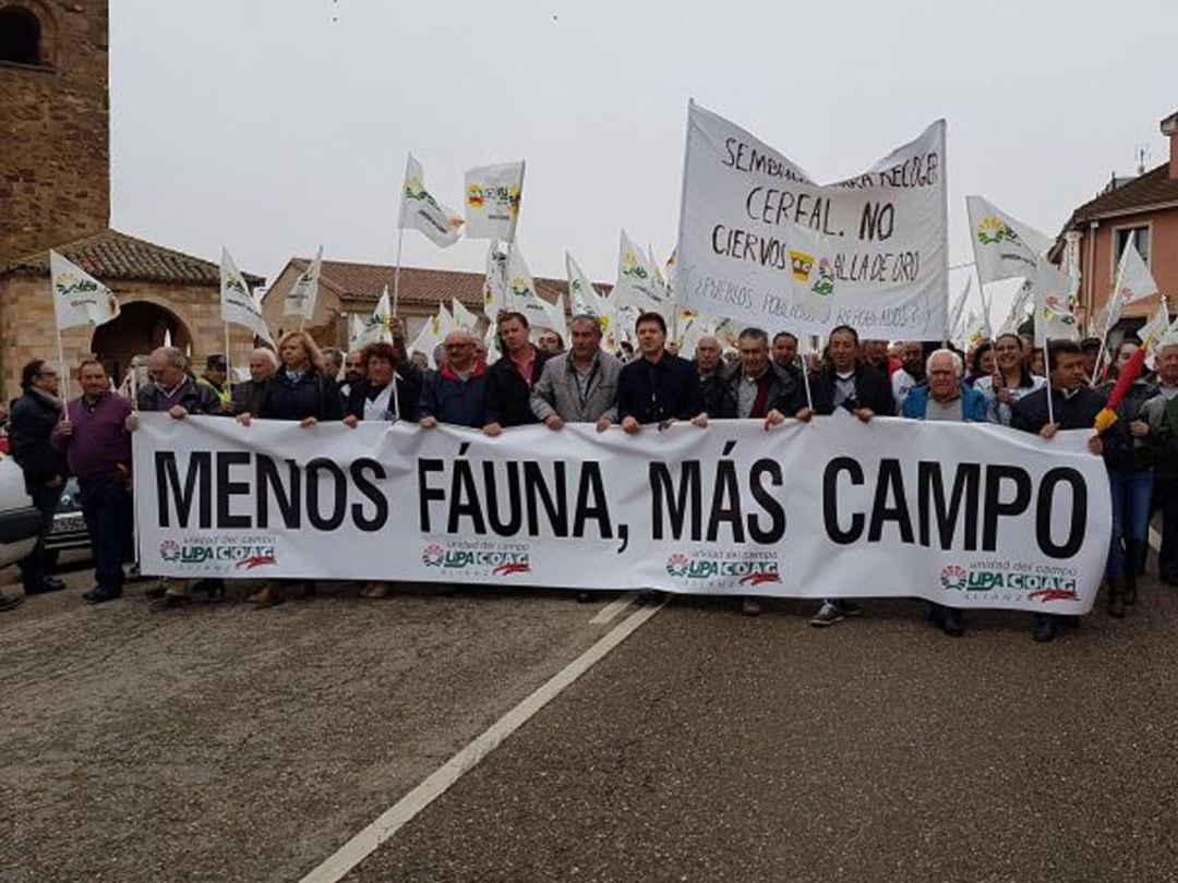 Manifestación contra los efectos de la fauna salvaje en la localidad de Tábara