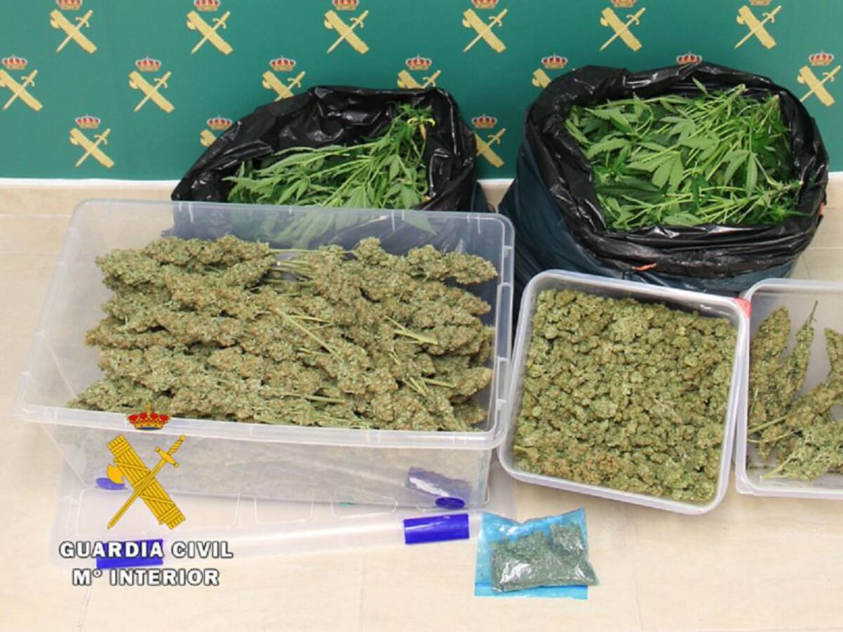 Desmantelado un laboratorio "indoor" con 120 plantas de marihuana