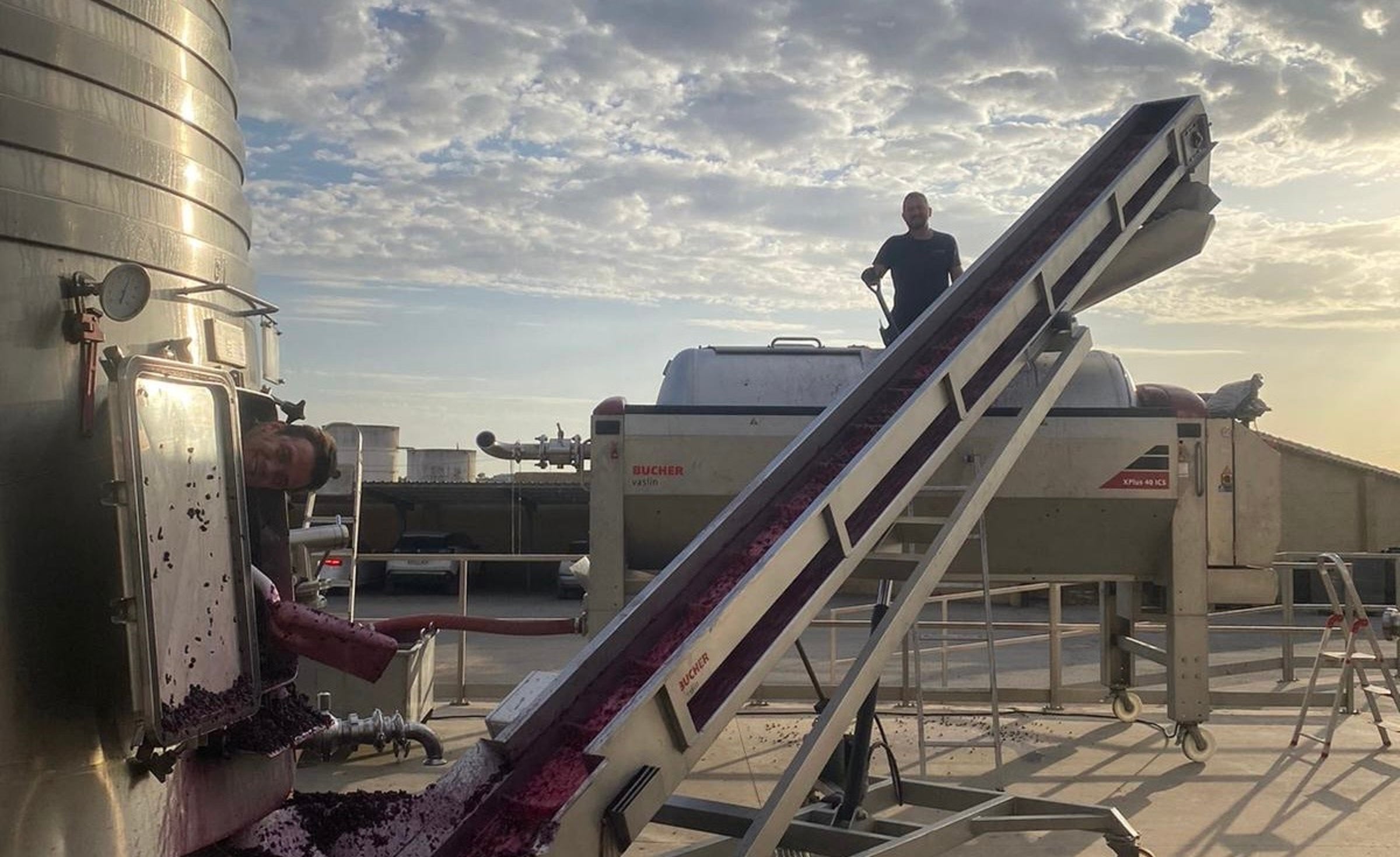 “Para un enólogo, la vendimia es el momento de más decisiones técnicas&quot;.