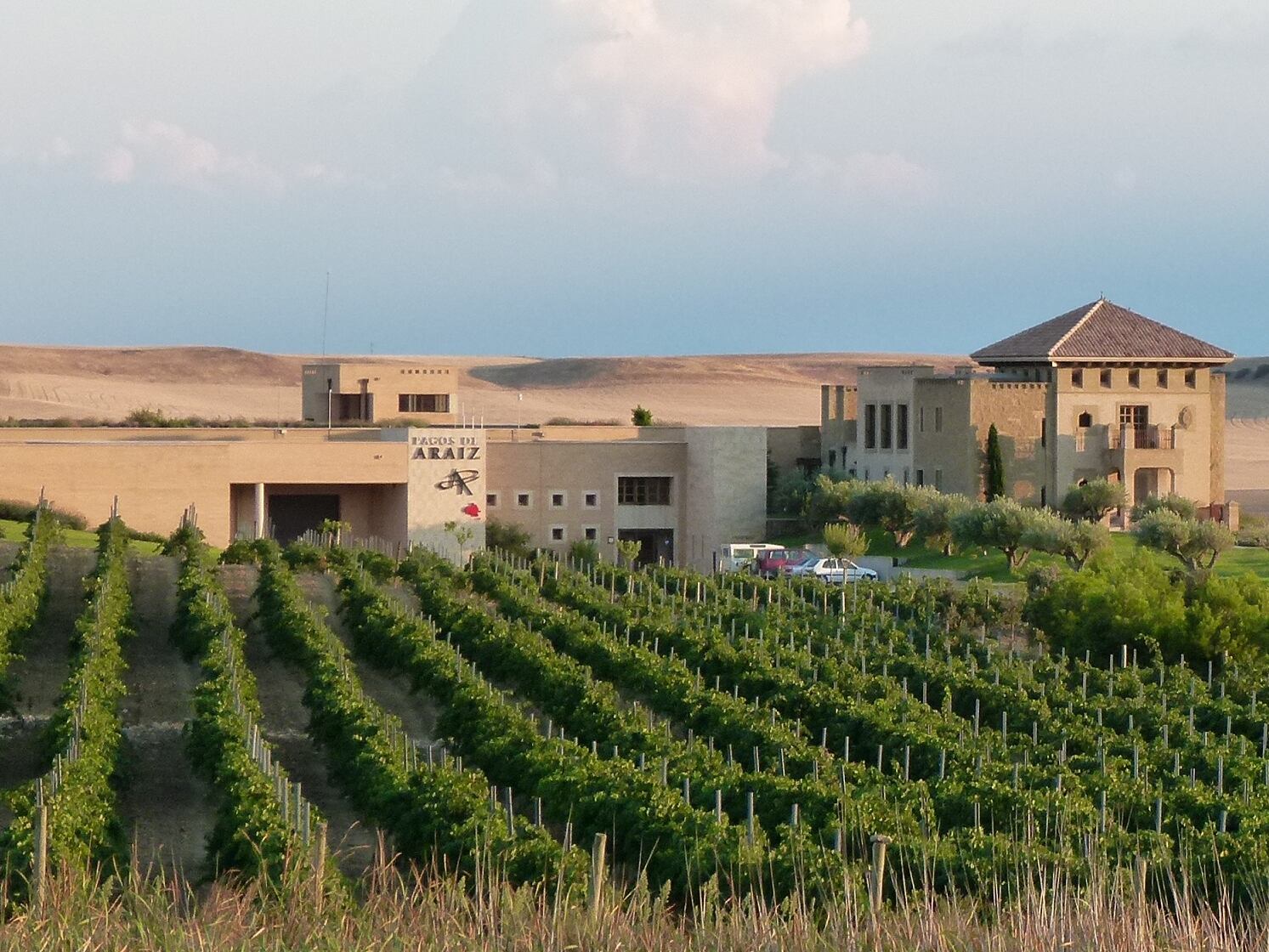 Finaliza con éxito el proyecto de I+D Oivina, liderado por Pagos de Araiz y destinado a reducir enfermedades biológicas en el viñedo