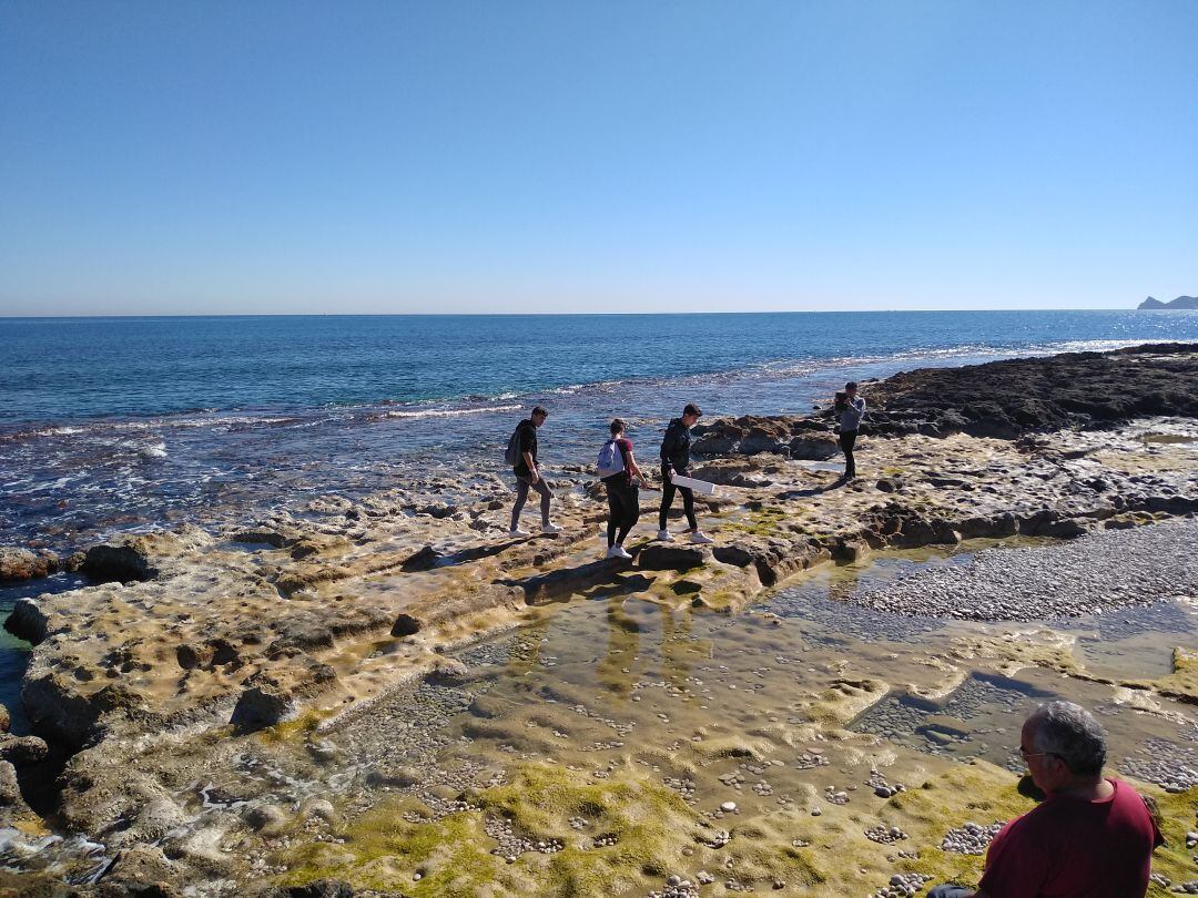 Alumnos del IES número 1 de Xàbia limpiando de plásticos en la zona del Primera Montañar. 