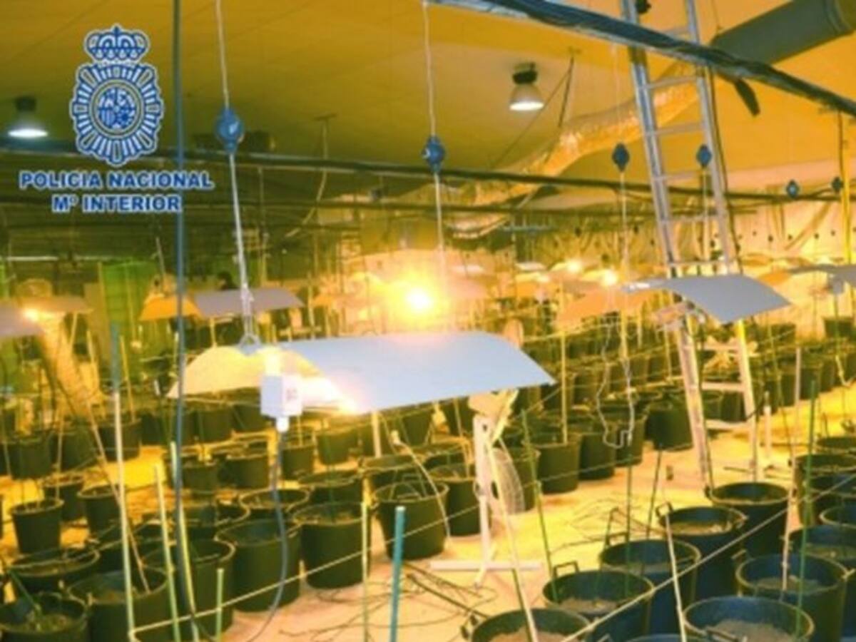 Cae una banda dedicada al tráfico de drogas cuyo líder era de Albacete